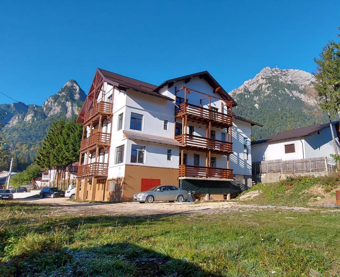 Vila Panoramic Busteni Exterior photo