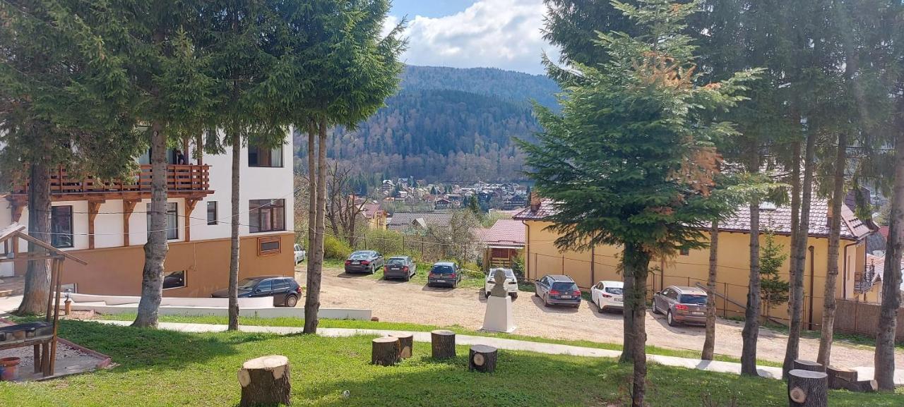 Vila Panoramic Busteni Exterior photo